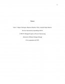 Organización del sistema de gestión de la seguridad y salud en el trabajo