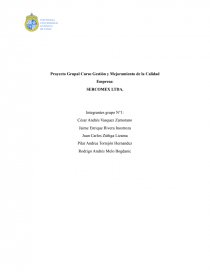 Proyecto Grupal Curso Gestión y Mejoramiento de la Calidad. Página 1