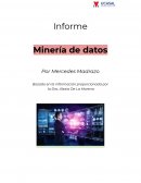 Informe Minería de datos