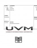 Diversidad cultural en los negocios de Solomon