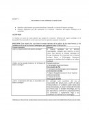 DESARROLLO DEL IMPERIO CAROLINGIO