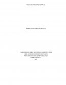 CULTURA ORGANIZACIONAL. ¿Cómo se define, qué papel juega en las organizaciones?