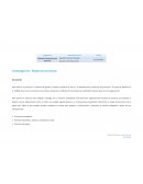 Investigación: Mapa de procesos