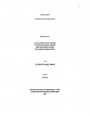 MATRIZ DOFA ARTESANIAS PENITENCIARIAS