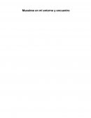 Muestreo en mi entorno y encuentro