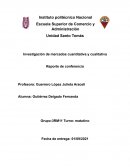 Investigación de mercados cuantitativa y cualitativa Reporte de conferencia