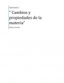 Laboratorio 2: “Cambios y propiedades de la materia”