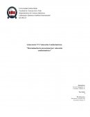 Informe química analítica instrumental