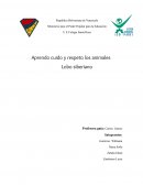 Proyecto Aprendo cuido y respeto los animales
