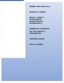 Analizando la organización