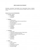 ¿Qué se espera de una Empresa?