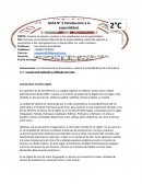 Guía introducción a la especialidad