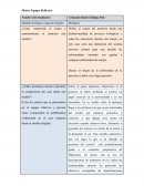 Matriz equipo reflexivo