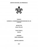 DIAGNÓSTICO DE NECESIDADES DE LOS CLIENTES