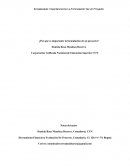 Importancia de la propuesta de negocio