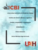 CAMBIO COMPLEJIDAD Y COMPETENCIA