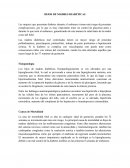 HIJOS DE MADRES DIABETICAS