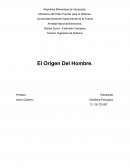El origen del hombre