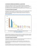 TFG PAUTES DE CONSUM