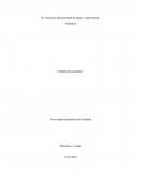 Seminario internacional de apego y salud mental