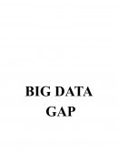 BIG DATA GAP