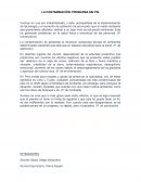 LA CONTAMINACIÓN: PROBLEMA SIN FIN