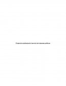 El ejercicio profesional al servicio de intereses políticos