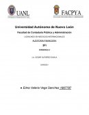 Ensayo sobre auditoria financiera