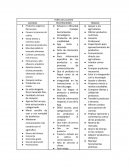 Perfil cliente financiero para proyecto
