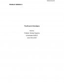 Informe administracion. Planificación Estratégica