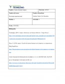 Caso de Grupo Brisas, gestión de talento