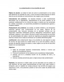 La contaminación en los arrecifes de coral