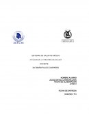 ANÁLISIS DE LA PIRÁMIDE DE KELSEN