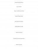 Sistema Agrícola de Chinampa de Ciudad de México