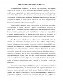 GESTION DEL AMBIENTE EN VENEZUELA