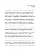 Participación de las economías familiares en la economía de mercado