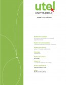 Actividad 2 Relaciones individuales de trabajo y de seguridad social