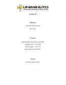 Caso:Instituto Educativa Nuestra Señora Del Rosario