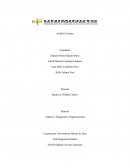 El poder de la negociación de los diferentes proveedores