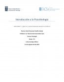 Que es y como funciona el cerebro