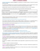 RESUMEN ED PERSONALIZADA