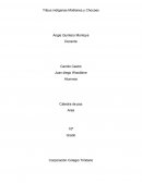 Tribus indígenas Motilones y Chocoes