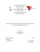 MEJORAS AL MANUAL DE PRODUCCIÓN DE QUESO PECORINO Y GOUDA EN LÁCTEOS CUMAREBO S.A (LACSA)