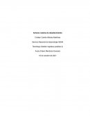 Actores cadena de abastecimiento