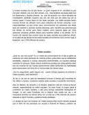 Qué son las Redes Sociales y cuáles son las más importantes