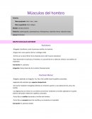 Anatomia sistemática-Musculos