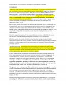 Responsabilidad Social Corporativa Estratégica y Sostenibilidad Ambiental