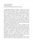 Ensayo sobre la Responsabilidad Internacional de los Estados