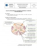 Alteraciones de la integridad sensorial y/o motora por daño medular