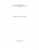 JUNTA DIRECTIVA – SEGUIMIENTO DE LA EMPRESA RAMO